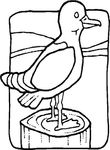 coloriage gratuit enfant Oiseaux