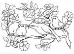 coloriage gratuit enfant Oiseaux