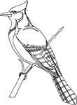 coloriage gratuit enfant Oiseaux