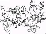 coloriage gratuit Oiseaux