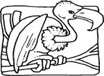 coloriage gratuit enfant Oiseaux