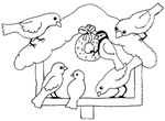 coloriage gratuit Oiseaux