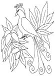 coloriage gratuit Oiseaux