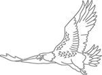 coloriage gratuit Oiseaux