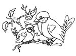 coloriage gratuit Oiseaux