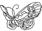 coloriage gratuit Papillons