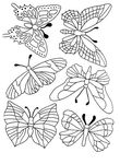 coloriage gratuit Papillons