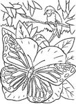 coloriage gratuit enfant Papillons