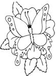 coloriage gratuit Papillons