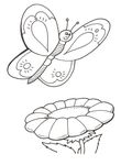 coloriage gratuit Papillons