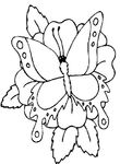 coloriage gratuit Papillons