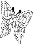 coloriage gratuit Papillons