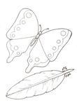 coloriage gratuit enfant Papillons