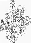 coloriage gratuit Papillons