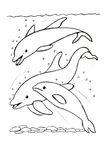 coloriage gratuit enfant Poissons