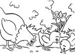 coloriage gratuit enfant Poules