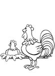 coloriage gratuit enfant Poules