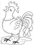 coloriage gratuit enfant Poules