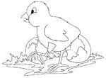 coloriage gratuit enfant Poules