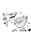 coloriage gratuit enfant Requins