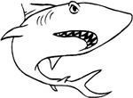 coloriage gratuit enfant Requins