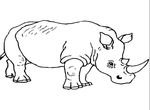 dessin gratuit Rhinoceros