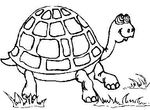 coloriage gratuit Tortues