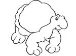 coloriage gratuit Tortues