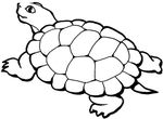 coloriage gratuit enfant Tortues