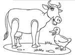 coloriage gratuit Vaches