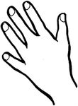 dessin gratuit Corps humain