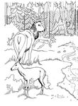 coloriage gratuit Zoo