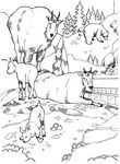 coloriage gratuit Zoo