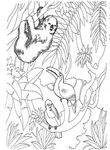 coloriage gratuit enfant Zoo