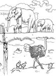 coloriage gratuit Zoo