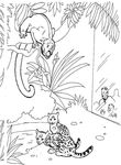 coloriage gratuit Zoo