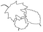 coloriage gratuit Feuilles