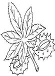 coloriage gratuit Feuilles