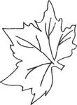 coloriage gratuit enfant Feuilles