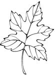 coloriage gratuit Feuilles