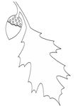 coloriage gratuit enfant Feuilles