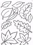 coloriage gratuit enfant Feuilles