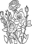 dessin gratuit Fleurs