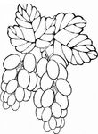 coloriage gratuit enfant Fruits Legumes