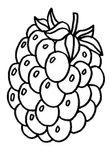 dessin gratuit Fruits Legumes