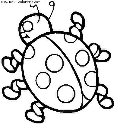 carte invitation Coccinelles