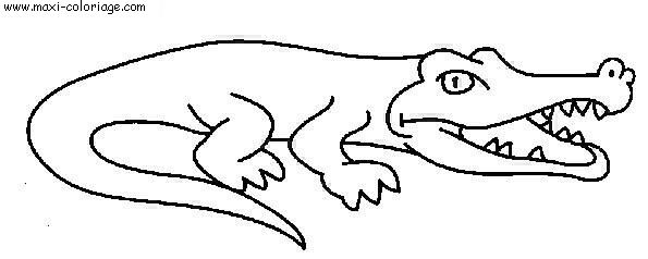 carte invitation Crocodiles