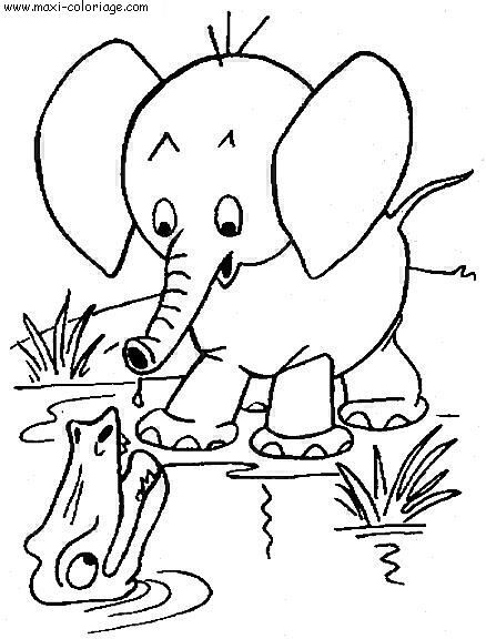 enveloppe carte invitation Elephants