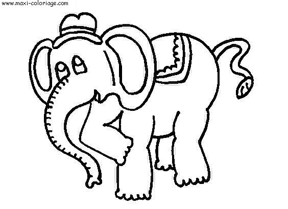 carte invitation Elephants
