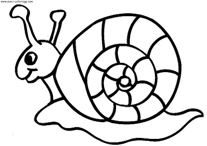 carte invitation Escargots